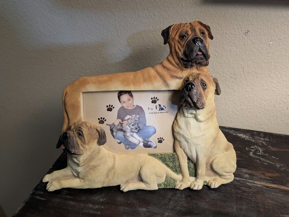 Resin Bullmastiff Dog 11” X 9” Picture Frame 4" x 6" photo Boxer Decorative